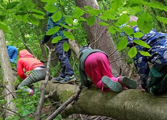 Kinder auf Baumstamm